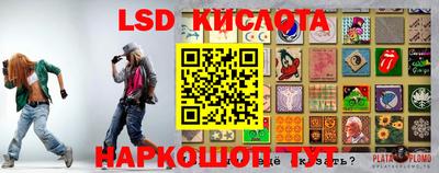 прущие крисы Моздок