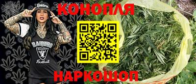 прущие крисы Моздок