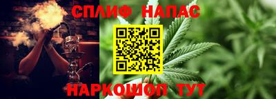 PSILOCYBIN Малоярославец